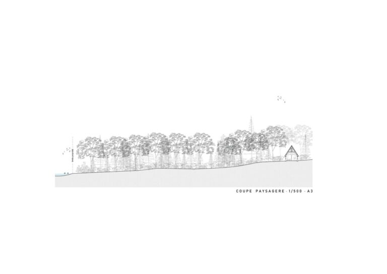 Le Domaine - Coupe paysagere 1